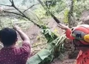 Lokasi 6 Warga Diduga Tertimbun Longsor di Trenggalek Ditemukan