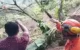 Lokasi korban longsor Trenggalek