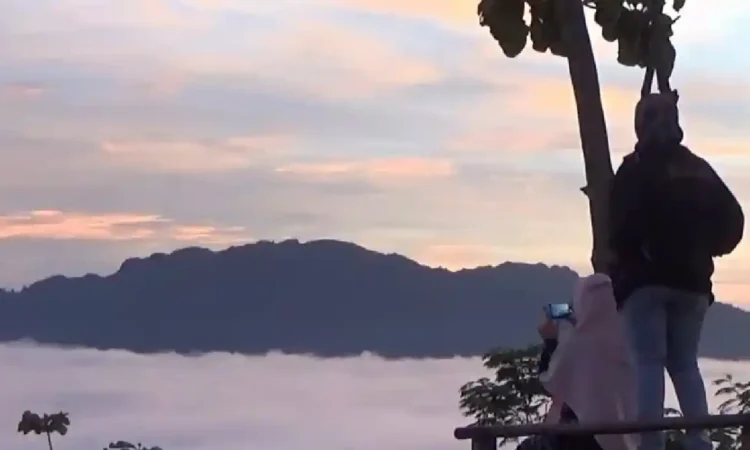 Bukit Banyon Trenggalek Favorit Pendaki dan Pemburu Sunrise
