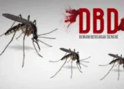 175 Warga Trenggalek Terpapar DBD, 2 Orang Meninggal Dunia