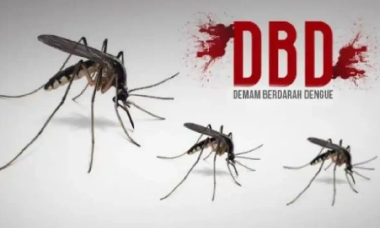 175 Warga Trenggalek Terpapar DBD, 2 Orang Meninggal Dunia