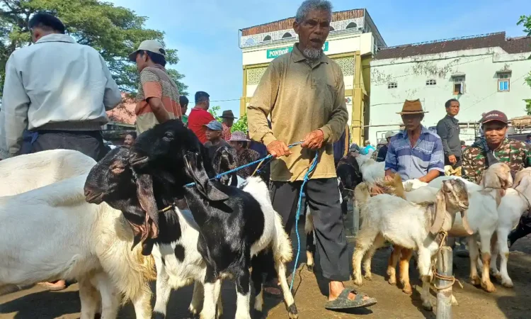 Jelang Idul Adha, Trenggalek Perketat Pengiriman Hewan Kurban