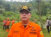Anjing Pelacak Dikerahkan Cari 6 Korban Tertimbun Longsor di Trenggalek