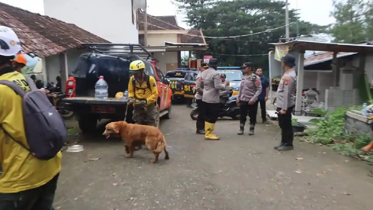 Trenggalek Longsor