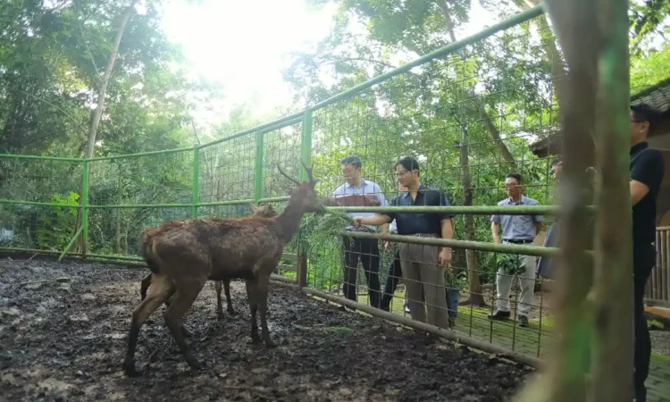Trenggalek Gandeng Perusahaan Korea Selatan untuk Pemetaan Wilayah