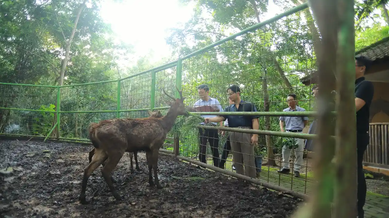 Bupati Trenggalek