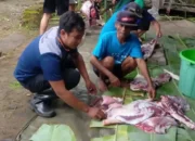 Dinkes Trenggalek Imbau Warga Bijak Konsumsi Daging Kurban