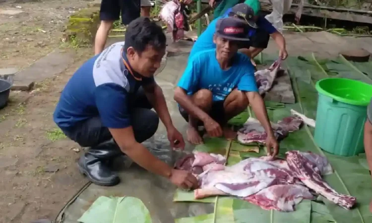 Dinkes Trenggalek Imbau Warga Bijak Konsumsi Daging Kurban