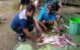 Pemotongan daging kurban Trenggalek