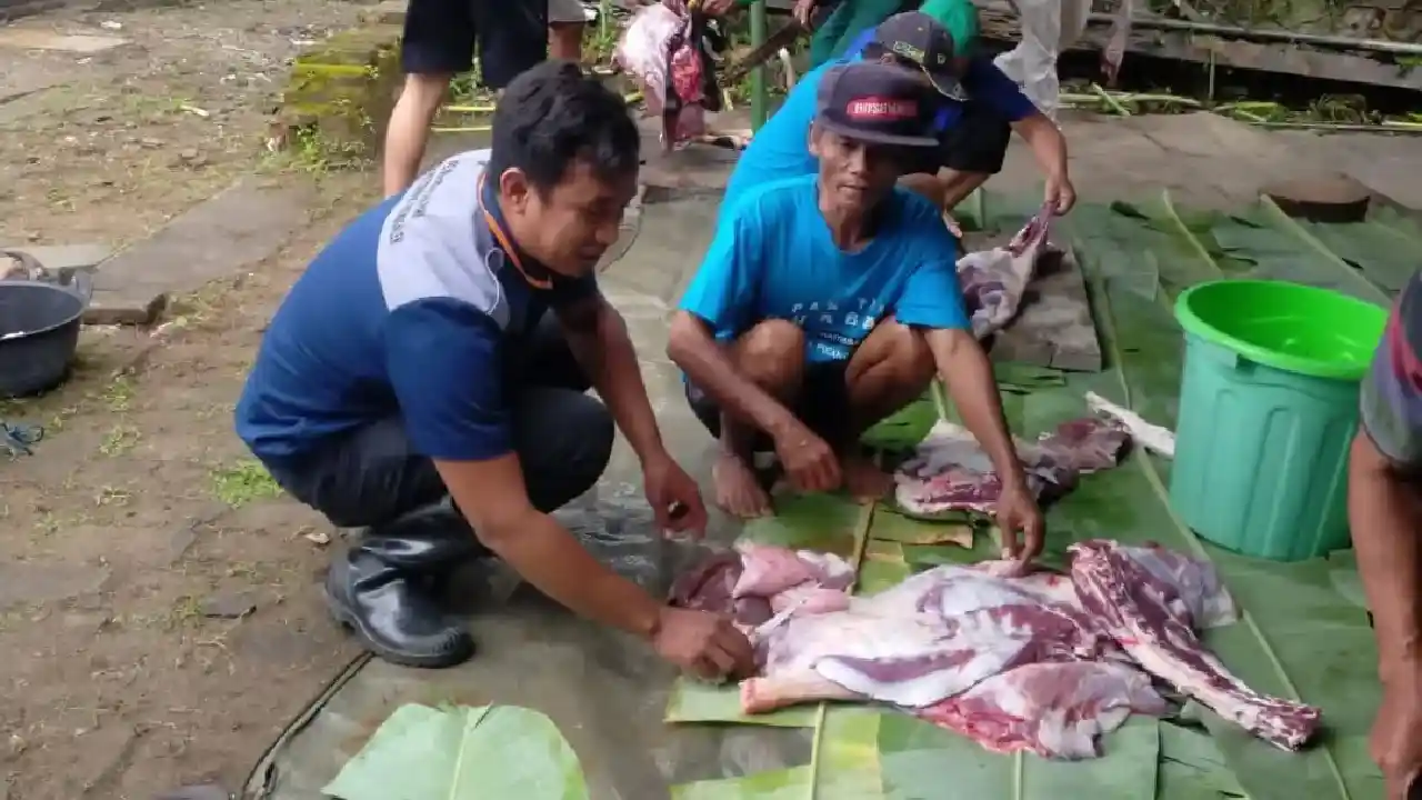 Pemotongan daging kurban Trenggalek