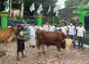 PKB Trenggalek Sembelih 5 Hewan Kurban, Daging Disalurkan ke Warga dan Kader