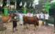 PKB Trenggalek
