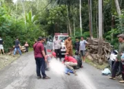 Warga Trenggalek Meninggal dalam Kecelakaan Tunggal di Jalur Kampak – Munjungan