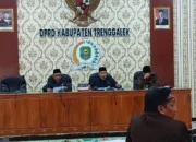 Penegakan Perda di Trenggalek Lemah Sebabkan Kebocoran PAD