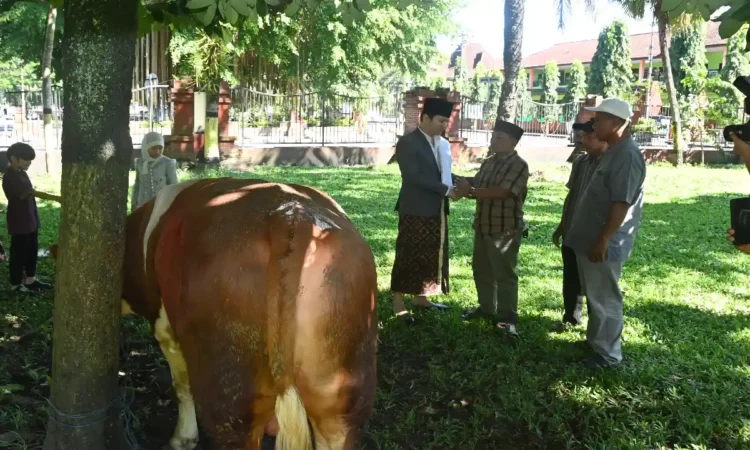 Bupati Trenggalek Serahkan Hewan Kurban ke Warga Terdampak Longsor di Desa Depok