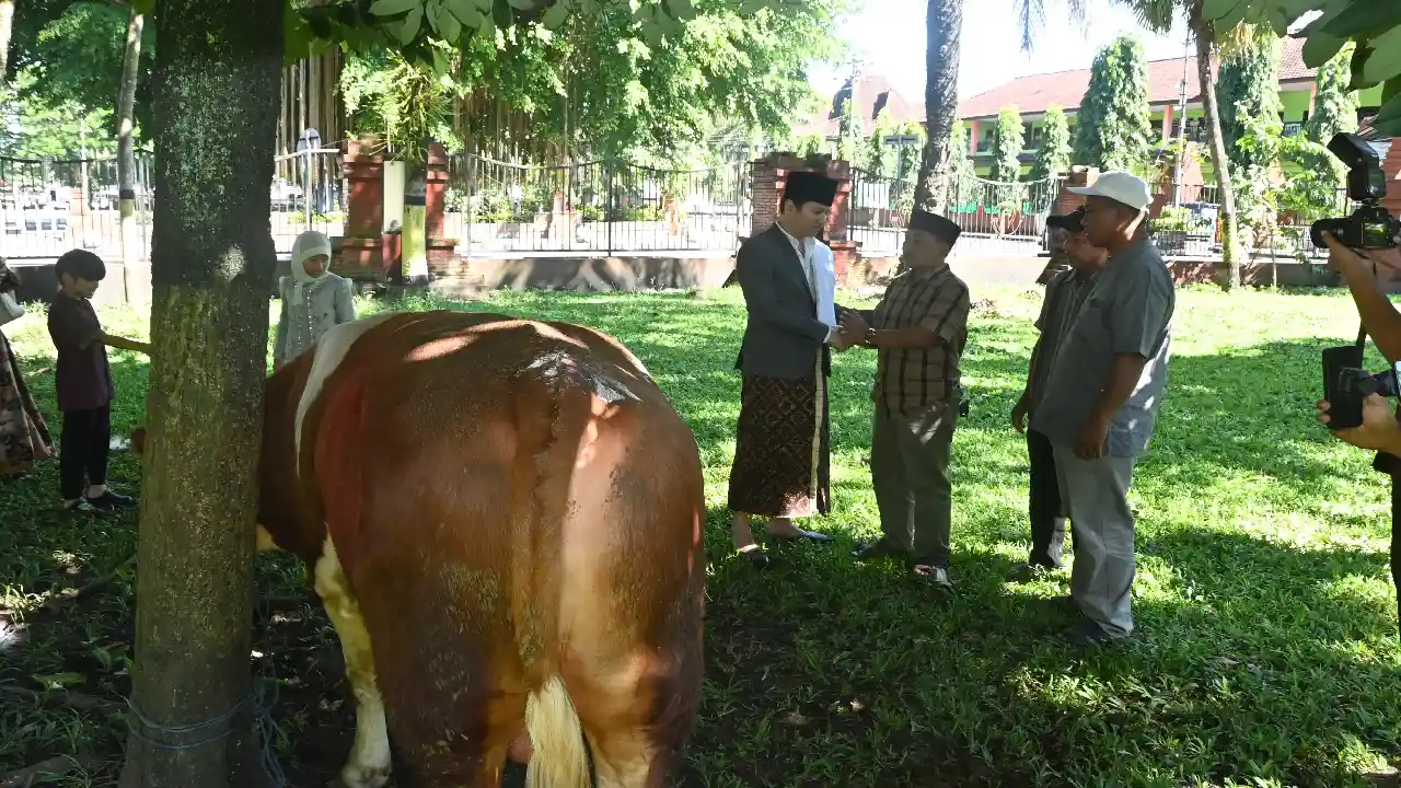 Hewan Kurban Trenggalek