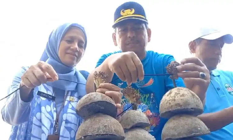 Pemkab Trenggalek Tanam Ribuan Terumbu Karang Lewat MUFON 2025