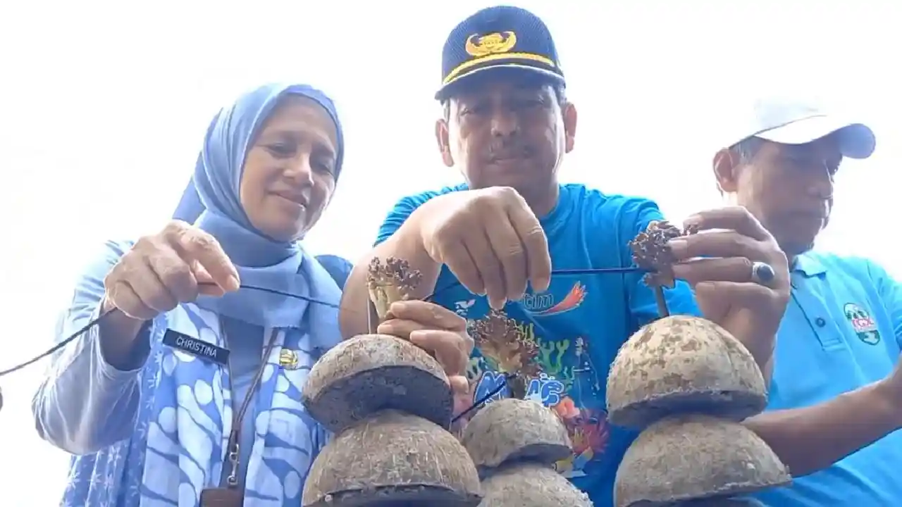 Terumbu Karang Trenggalek