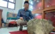 Batuan lava purba Trenggalek