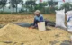Petani Trenggalek