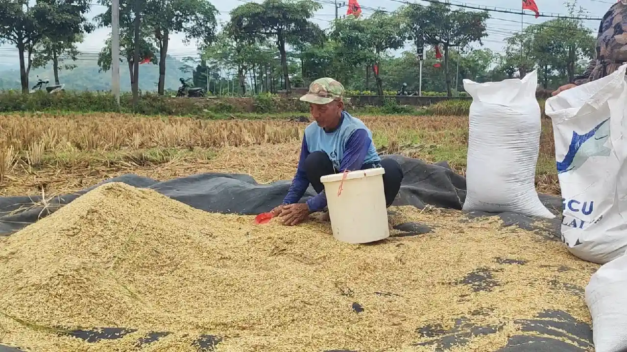Petani Trenggalek