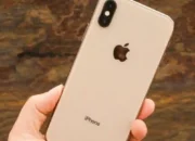 iPhone Mulai Rp3 Jutaan, Ini 5 Tipe yang Masih Layak Dibeli Tahun Ini