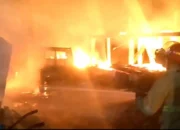 Gudang Kayu di Trenggalek Terbakar, Kerugian Capai Rp 500 Juta