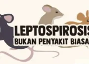Trenggalek Minim Kasus Penyakit Leptospirosis, Warga Tetap Diajak Waspada