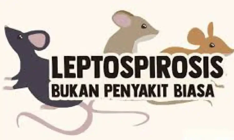 Trenggalek Minim Kasus Penyakit Leptospirosis, Warga Tetap Diajak Waspada