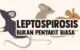 Penyakit Leptospirosis Trenggalek