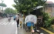 Trenggalek