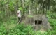Bunker di Trenggalek