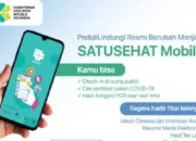 Satu Sehat Didorong Jadi Jalan Tol Digitalisasi Layanan Kesehatan