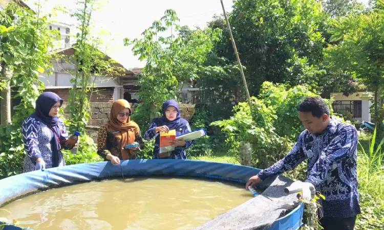 Kemarau Basah Jadi Berkah Pelaku Budidaya Ikan di Trenggalek