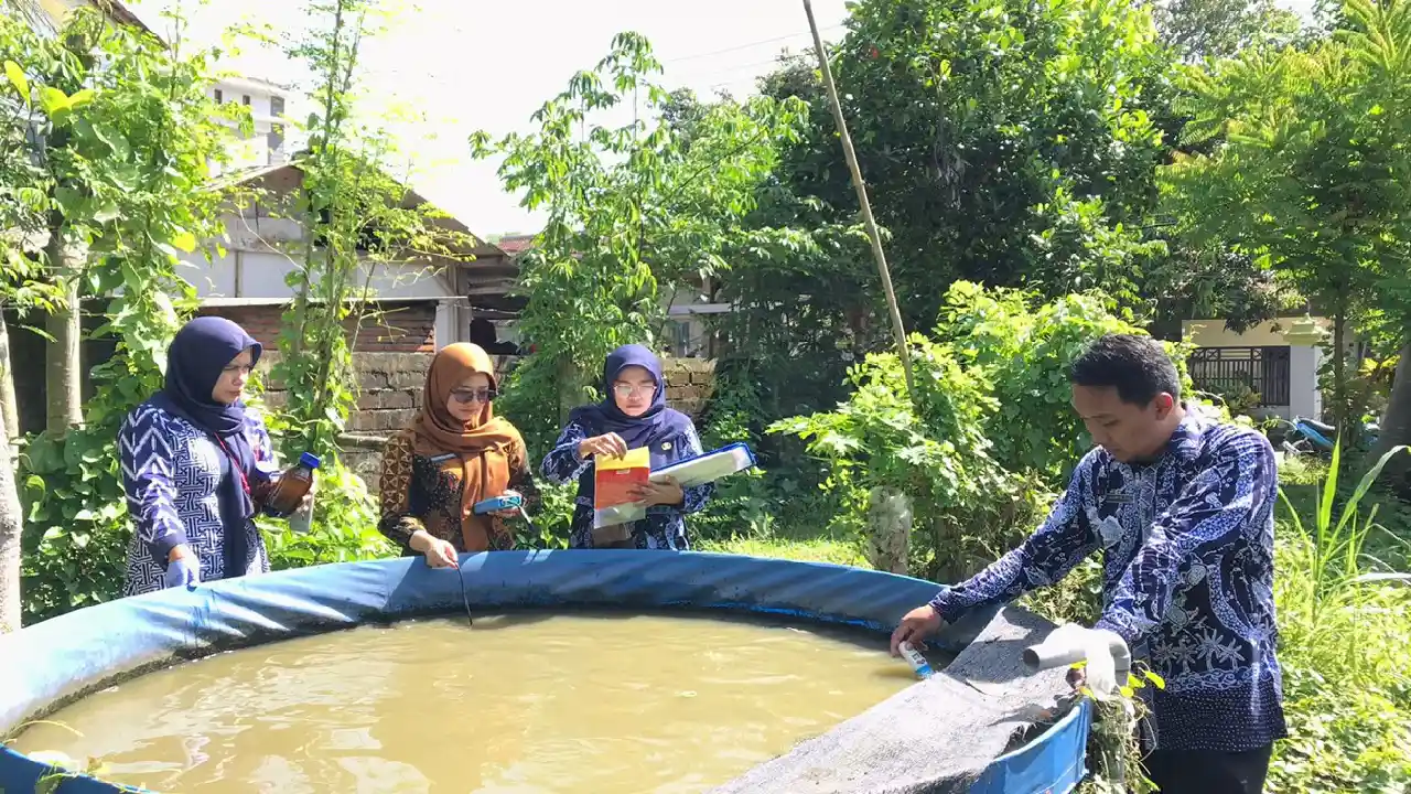 Budidaya Ikan Trenggalek