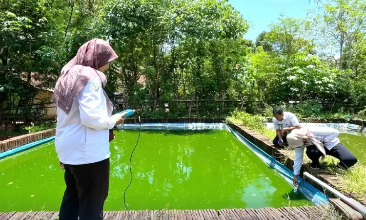 Budidaya Ikan Patin di Trenggalek Jadi Sentra Baru