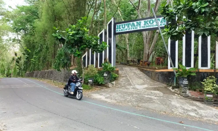 Kualitas Udara Trenggalek Terbaik se Jawa Timur, Program Proklim Berhasil