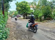 300 Kilometer Jalan di Trenggalek Rusak, Kemantapan Hanya 66 Persen
