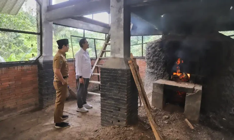 Perkebunan Kopi Trenggalek Dilirik Rektor Universitas Brawijaya