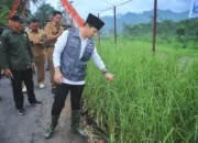 Bupati Trenggalek Tanam 25 Ribu Bibit Vetiver untuk Mitigasi Bencana di Bendoroto
