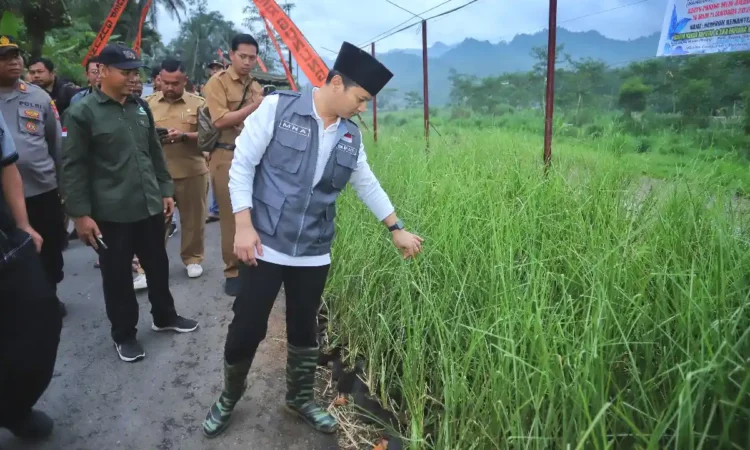 Bupati Trenggalek Tanam 25 Ribu Bibit Vetiver untuk Mitigasi Bencana di Bendoroto