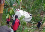 Sopir Ngantuk, Mobil Ekspedisi di Trenggalek Terjun ke Jurang Sedalam 4 Meter