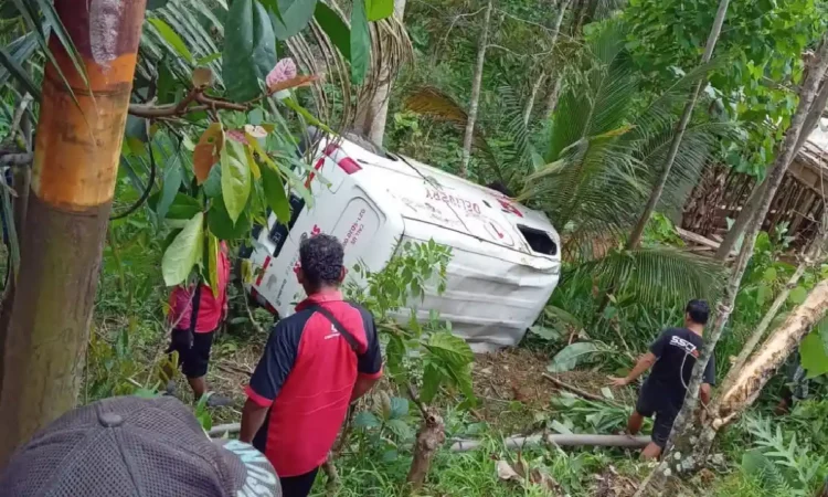 Sopir Ngantuk, Mobil Ekspedisi di Trenggalek Terjun ke Jurang Sedalam 4 Meter