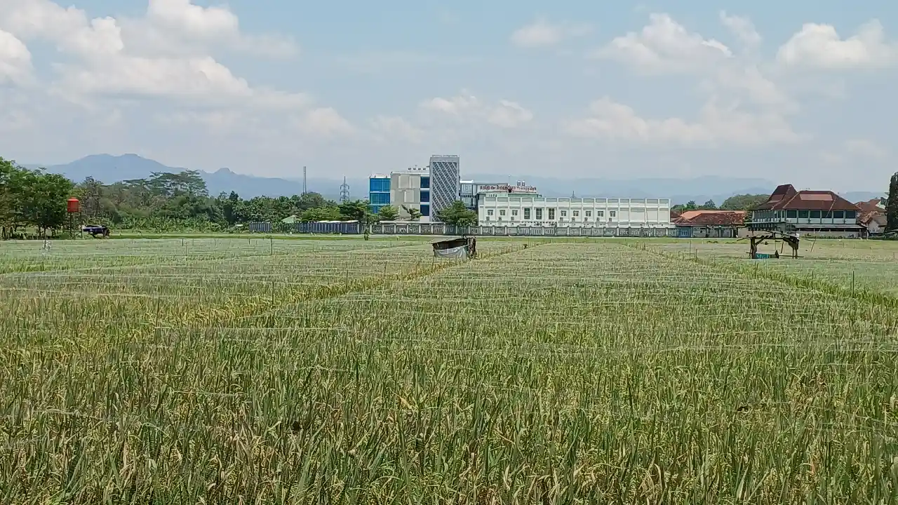 Pertanian Trenggalek