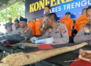 Polres Trenggalek Ungkap 6 Kasus dan Amankan 10 Tersangka Selama Operasi Sikat Semeru 2025