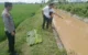 Trenggalek