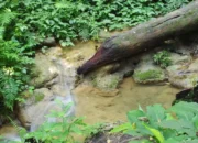 Trenggalek Punya 23.553 Hektar Kawasan Karst yang Harus Dilindungi