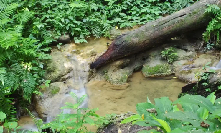 Trenggalek Punya 23.553 Hektar Kawasan Karst yang Harus Dilindungi