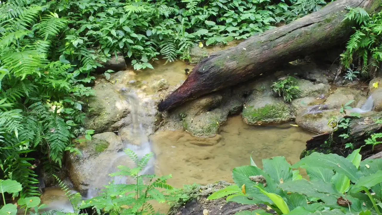 Kawasan Karst Trenggalek