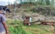 Trenggalek